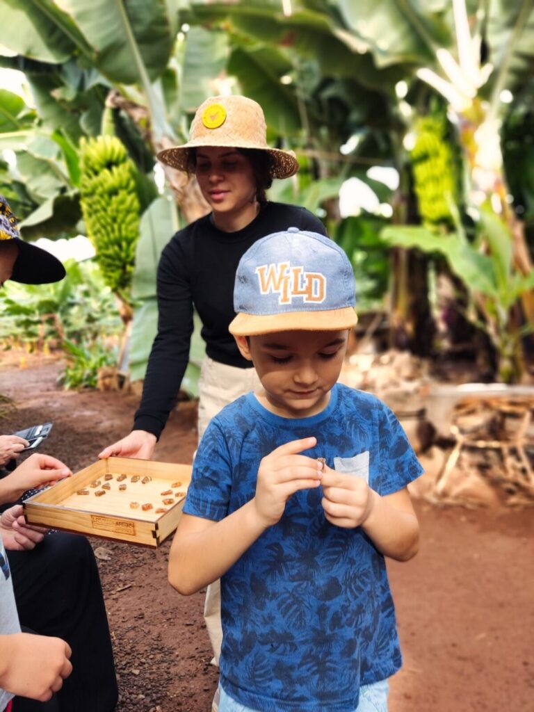 Banana Plantation tenerife with kids (2)