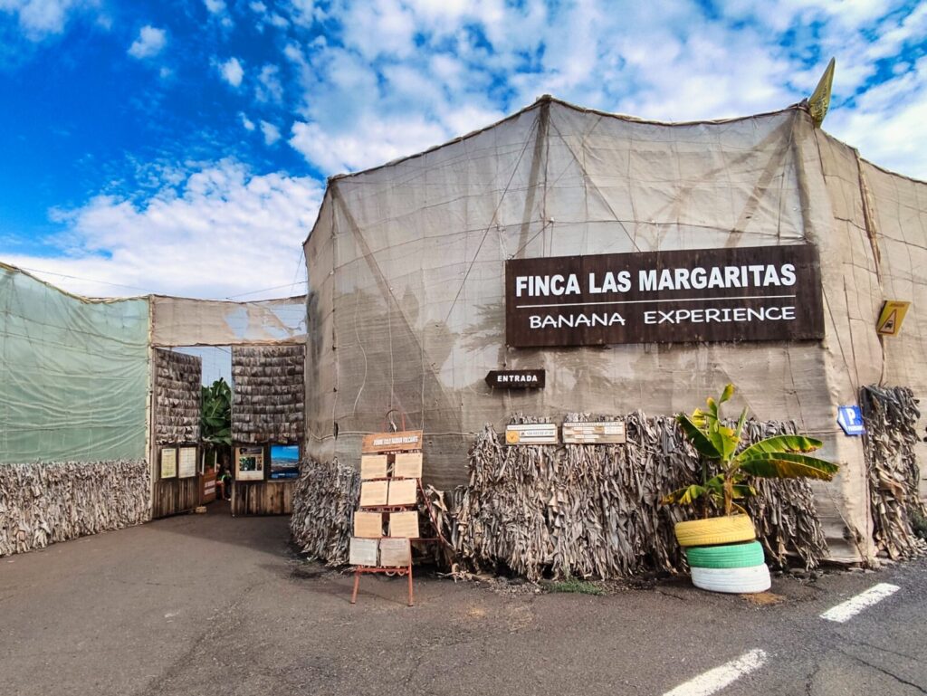Banana Plantation tenerife with kids (4)