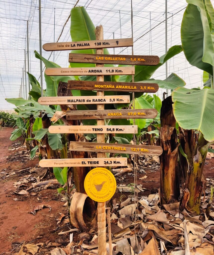 Banana Plantation tenerife with kids (5)