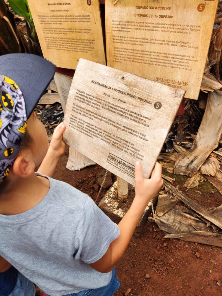 Banana Plantation tenerife with kids (7)