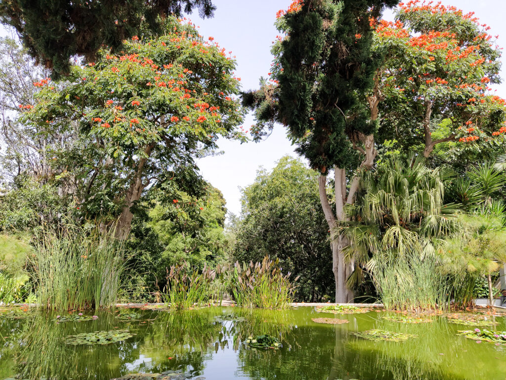 Botanical Garden tenerife with kids (10)