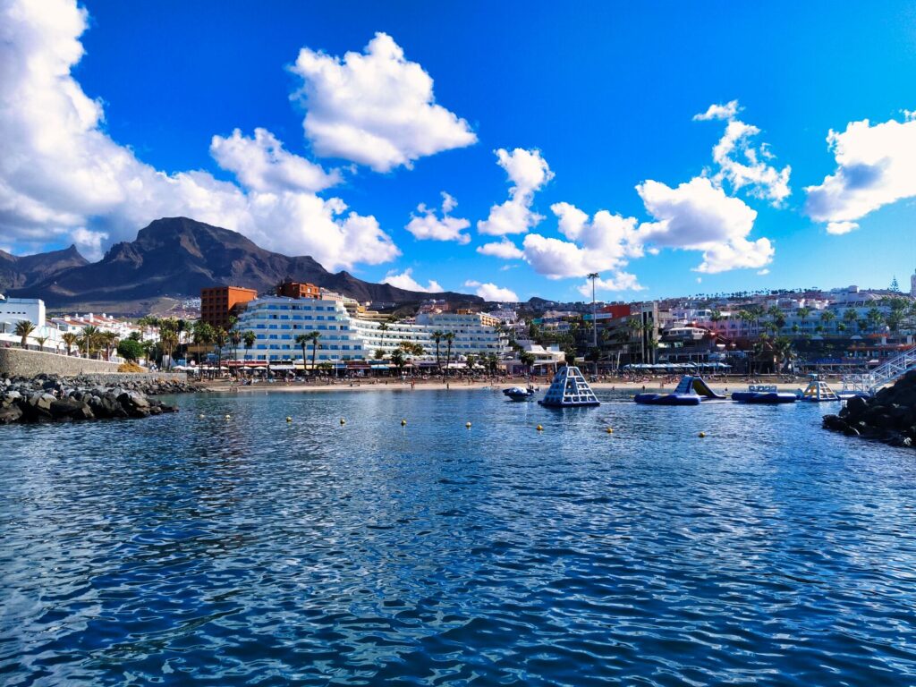 Dolphin and Whale Watching Tours tenerife with kids (7)