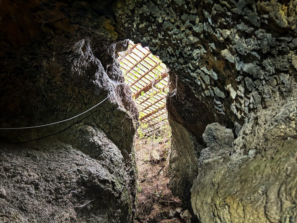 La Cueva del Viento tenerife with kids (48)