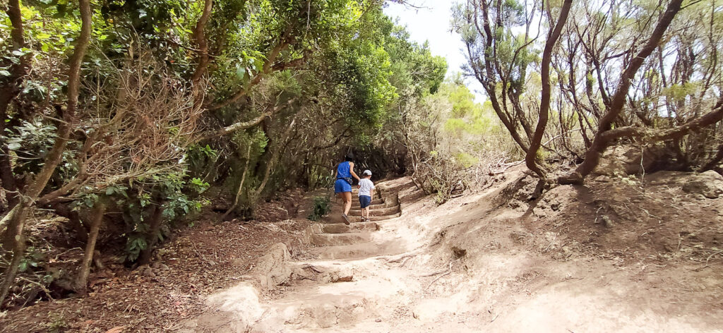 Sendero de los Sentidos tenerife with kids (1)
