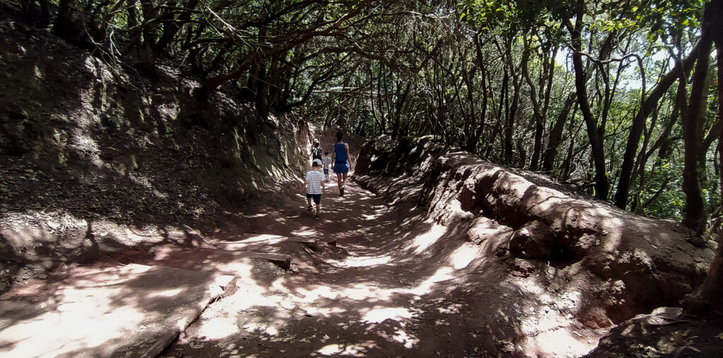 Sendero de los Sentidos tenerife with kids (11)