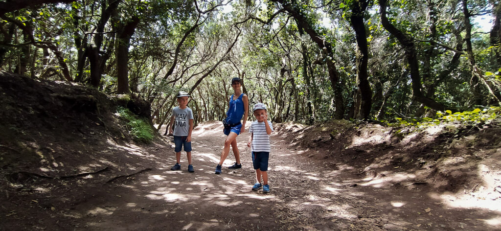 Sendero de los Sentidos tenerife with kids (12)