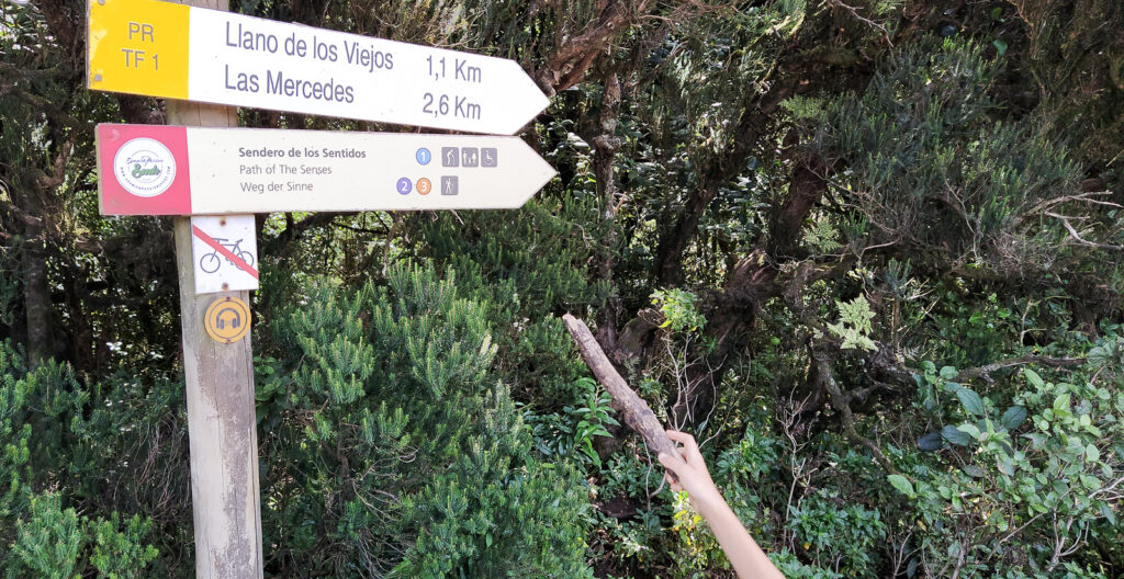 Sendero de los Sentidos tenerife with kids (15)