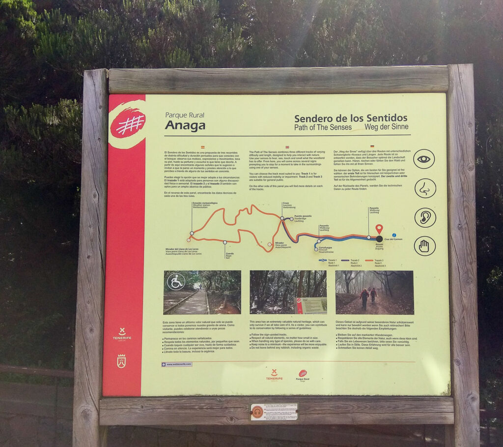 Sendero de los Sentidos tenerife with kids (17)