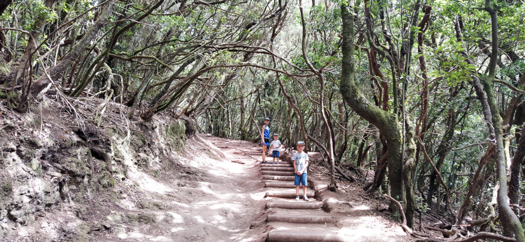 Sendero de los Sentidos tenerife with kids (18)