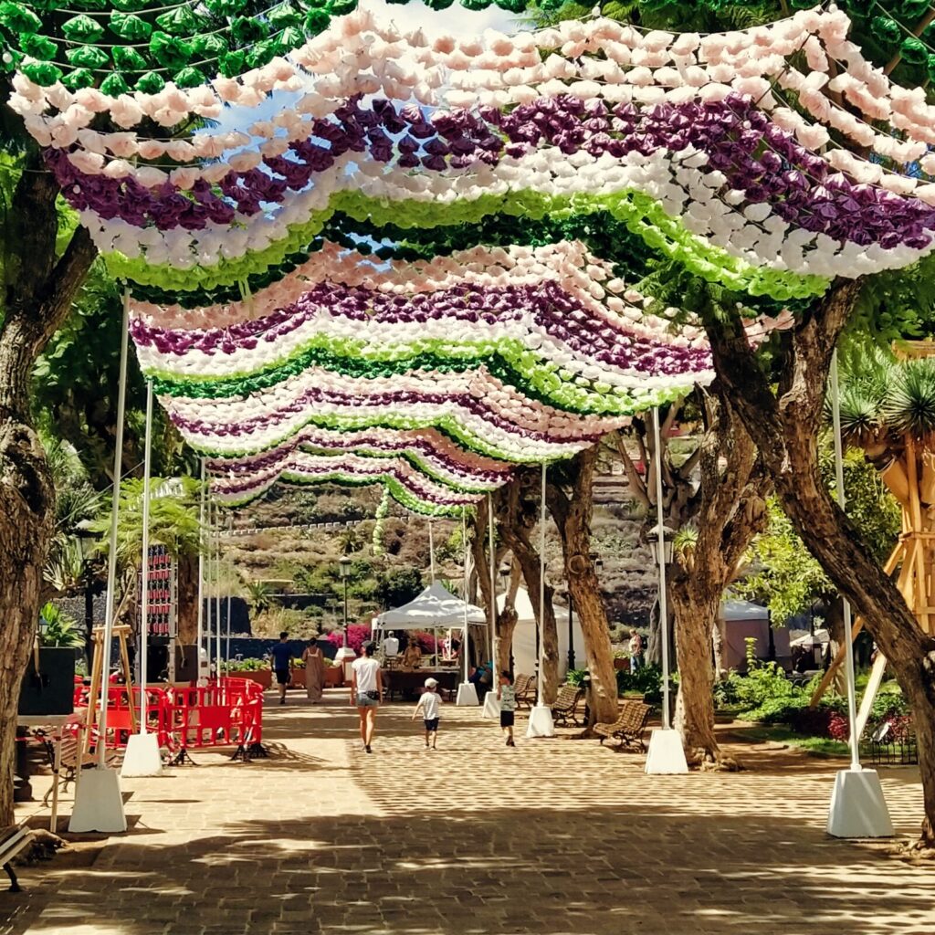 dragon tree tenerife with kids (6)