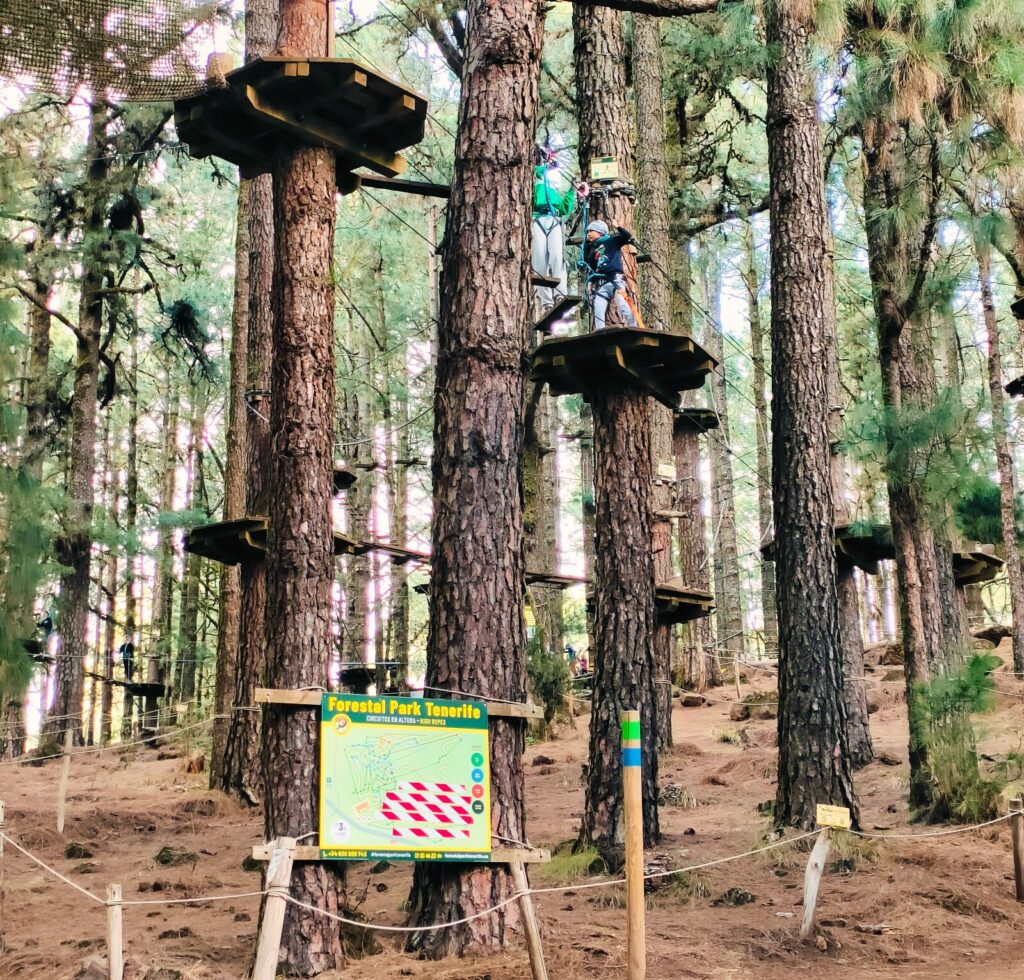 forestal park tenerife with kids