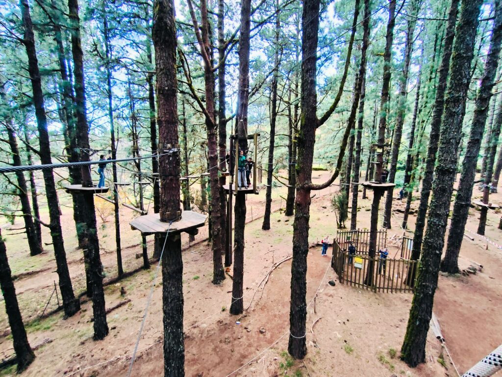 forestal park tenerife with kids