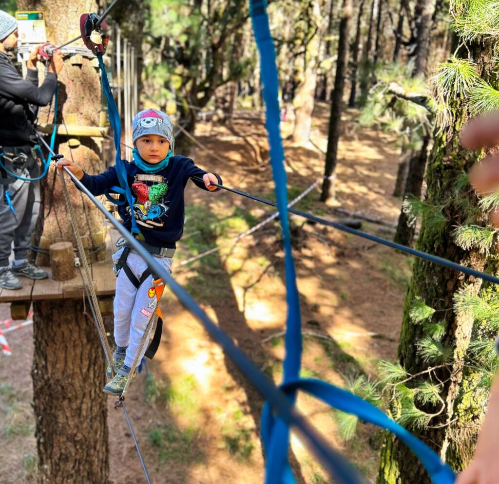 forestal park tenerife with kids (2)
