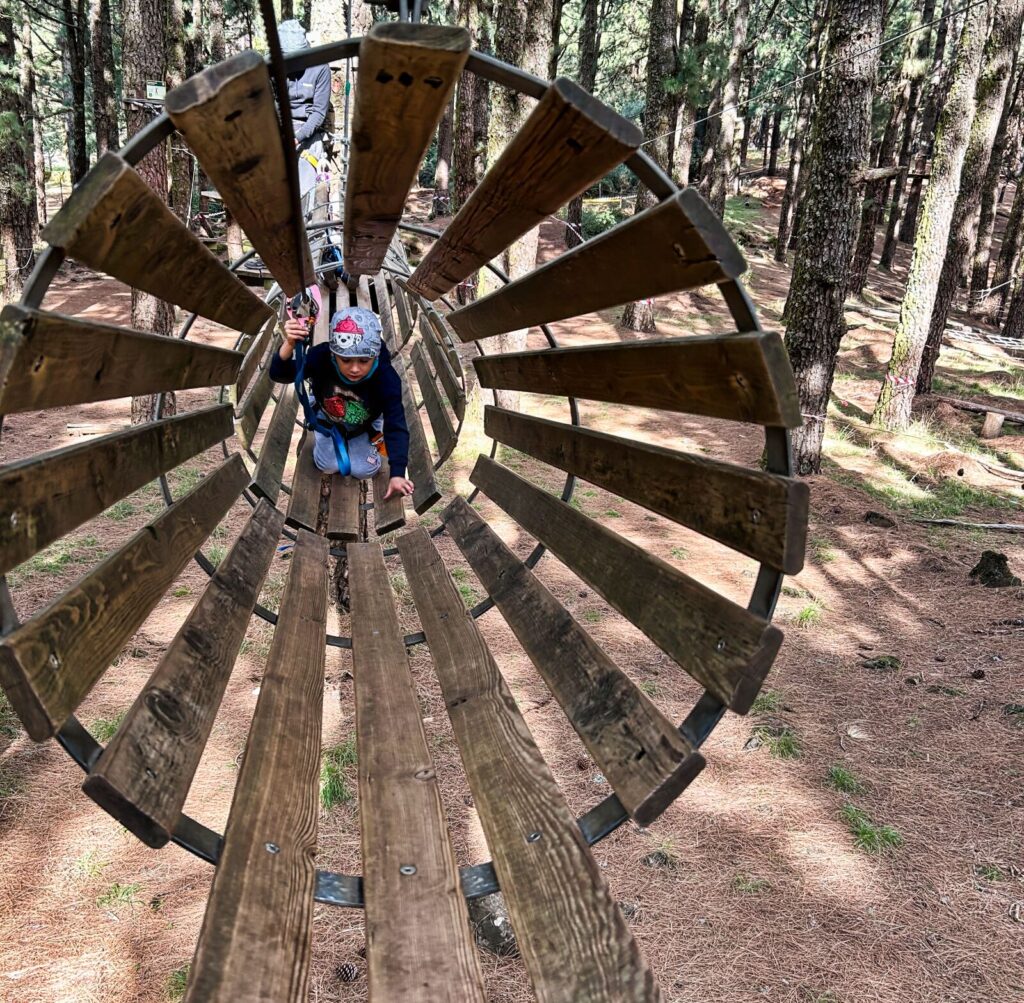 forestal park tenerife with kids (3)