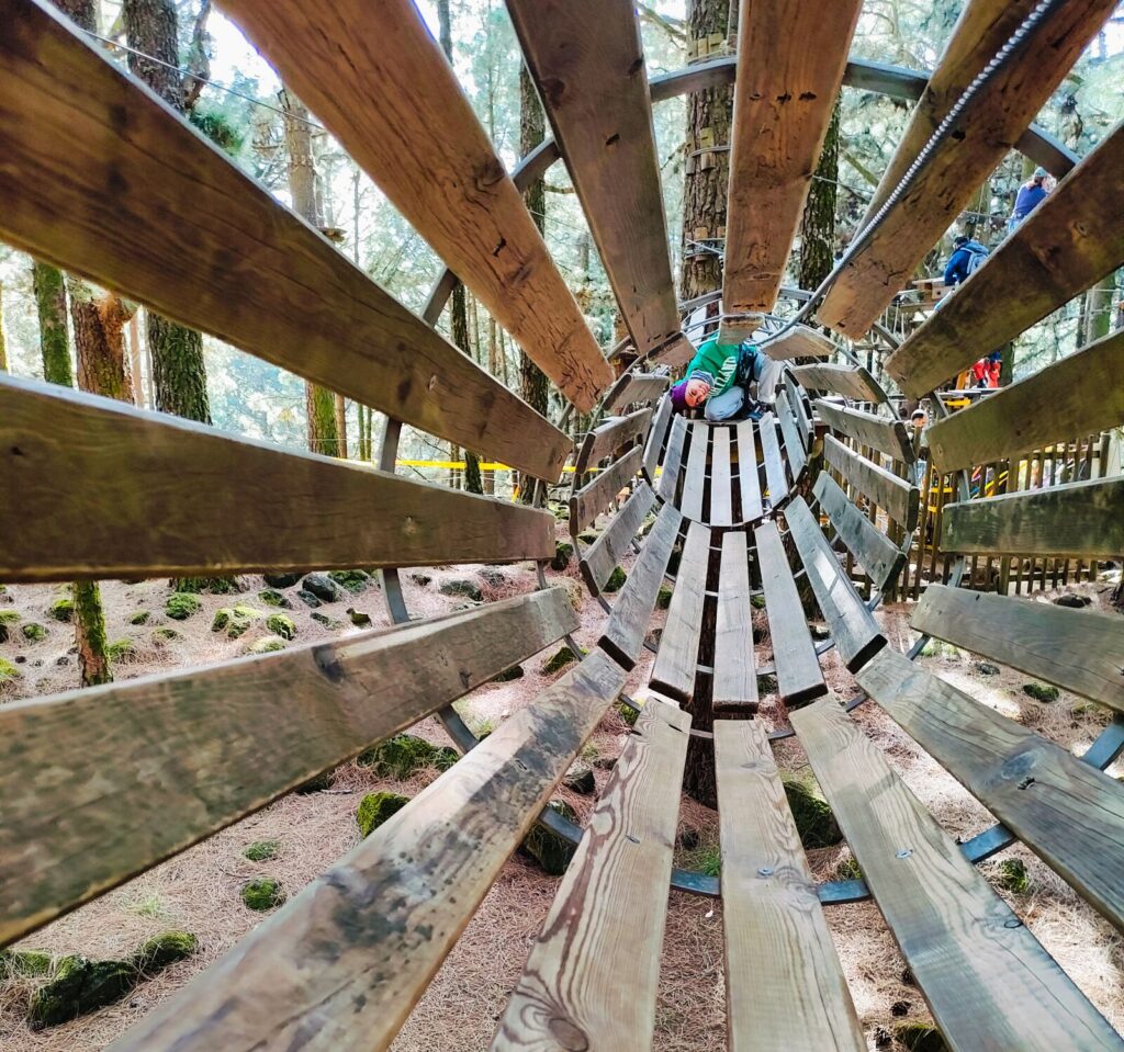 forestal park tenerife with kids