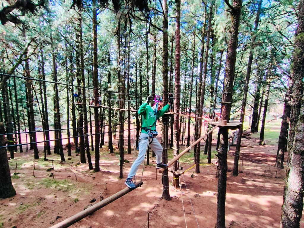 forestal park tenerife with kids