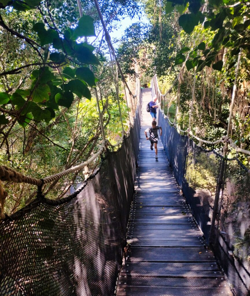 jungle park tenerife with kids (2)
