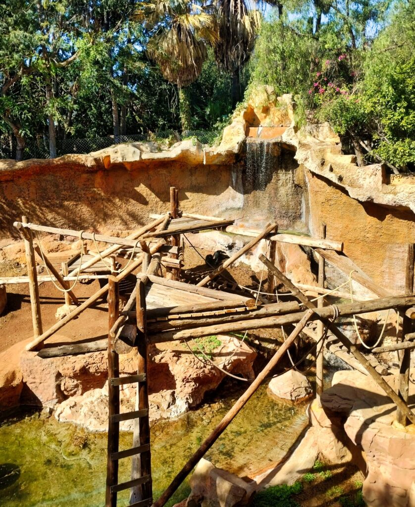 jungle park tenerife with kids (4)