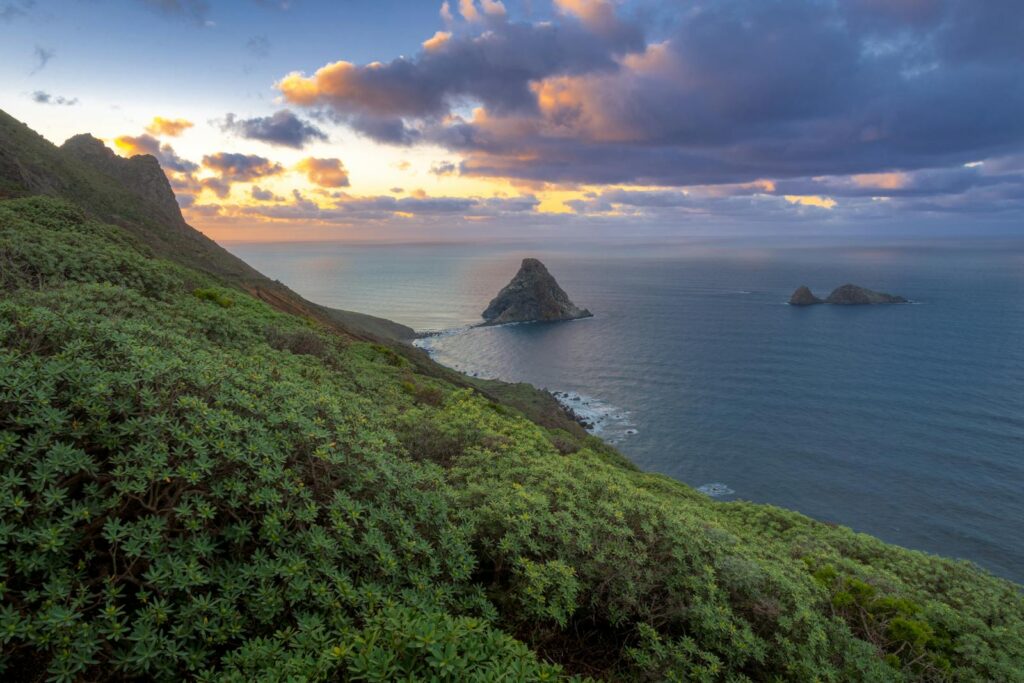 Stunning sunset view over Anaga Peninsula in Tenerife, with lush greenery and ocean backdrop.