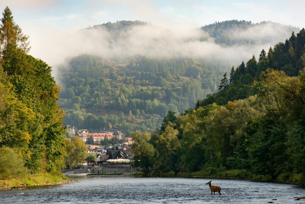 Dunajec