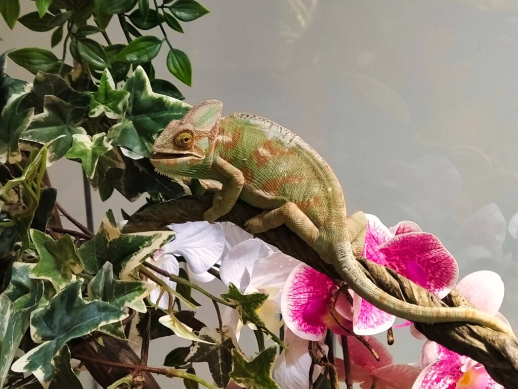 Croatia with kids (100)