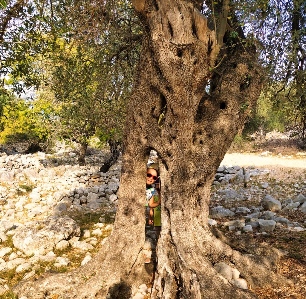 Croatia with kids (175)