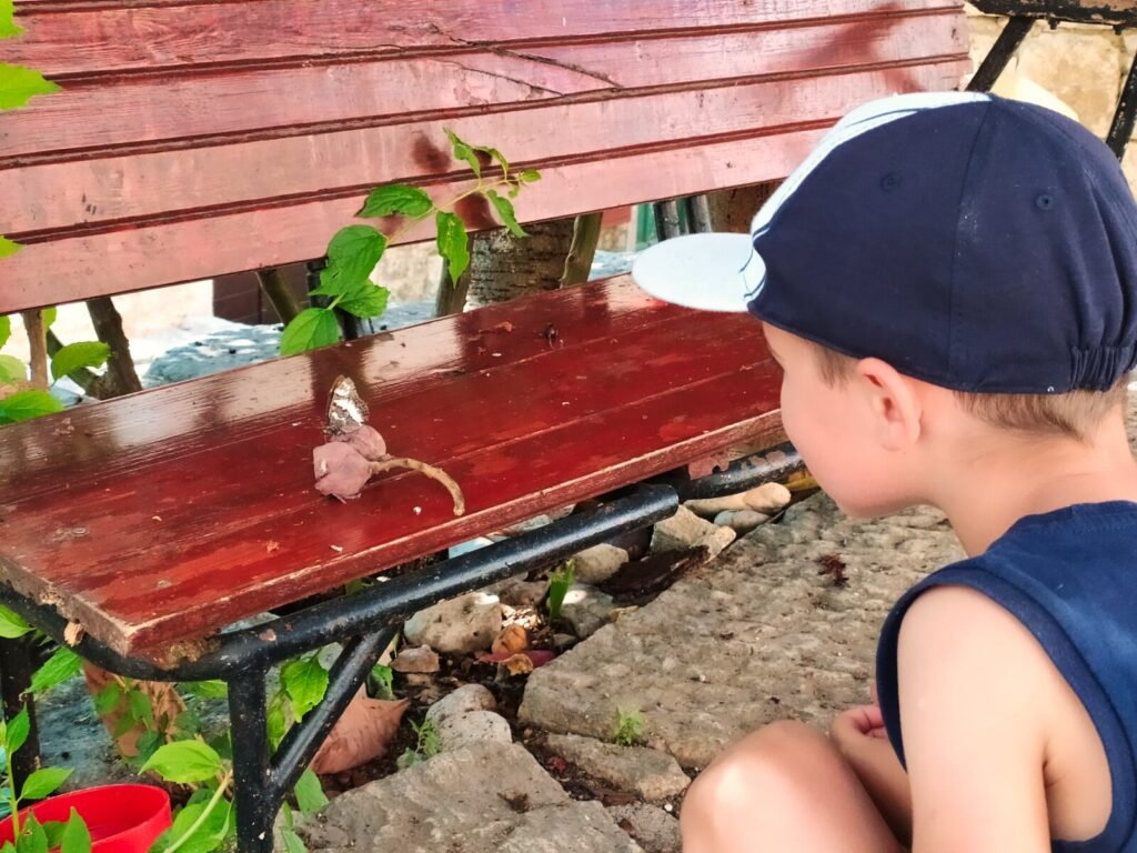 Croatia with kids (179)