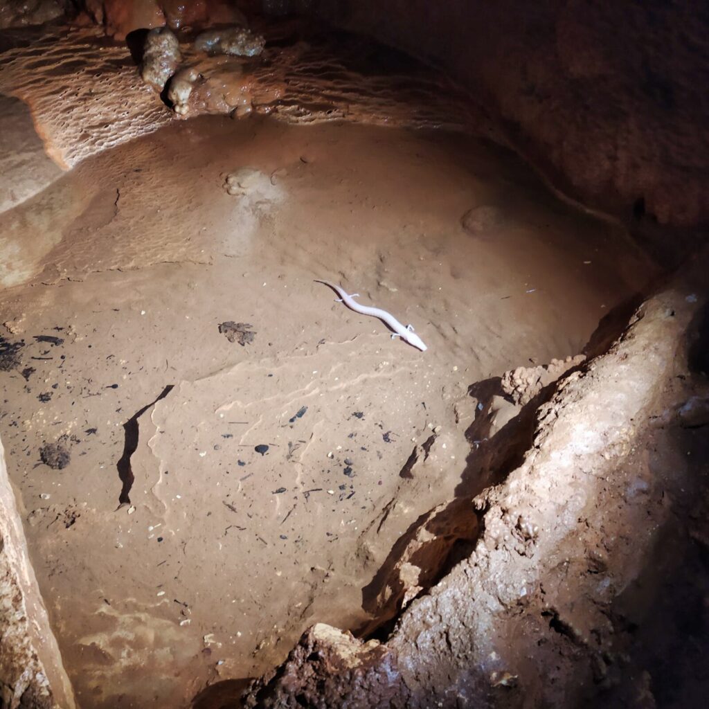 Croatia with kids (198)