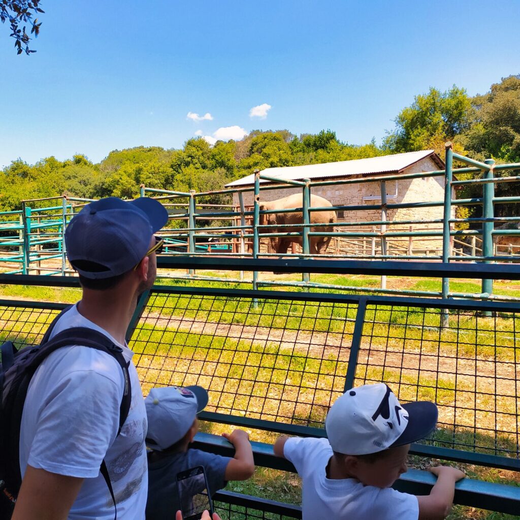 Croatia with kids (45)