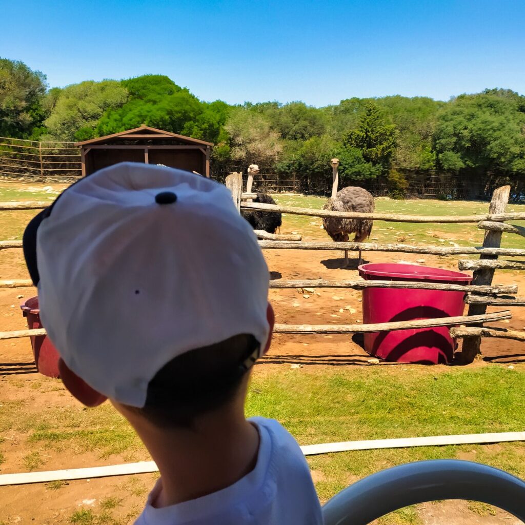 Croatia with kids (57)