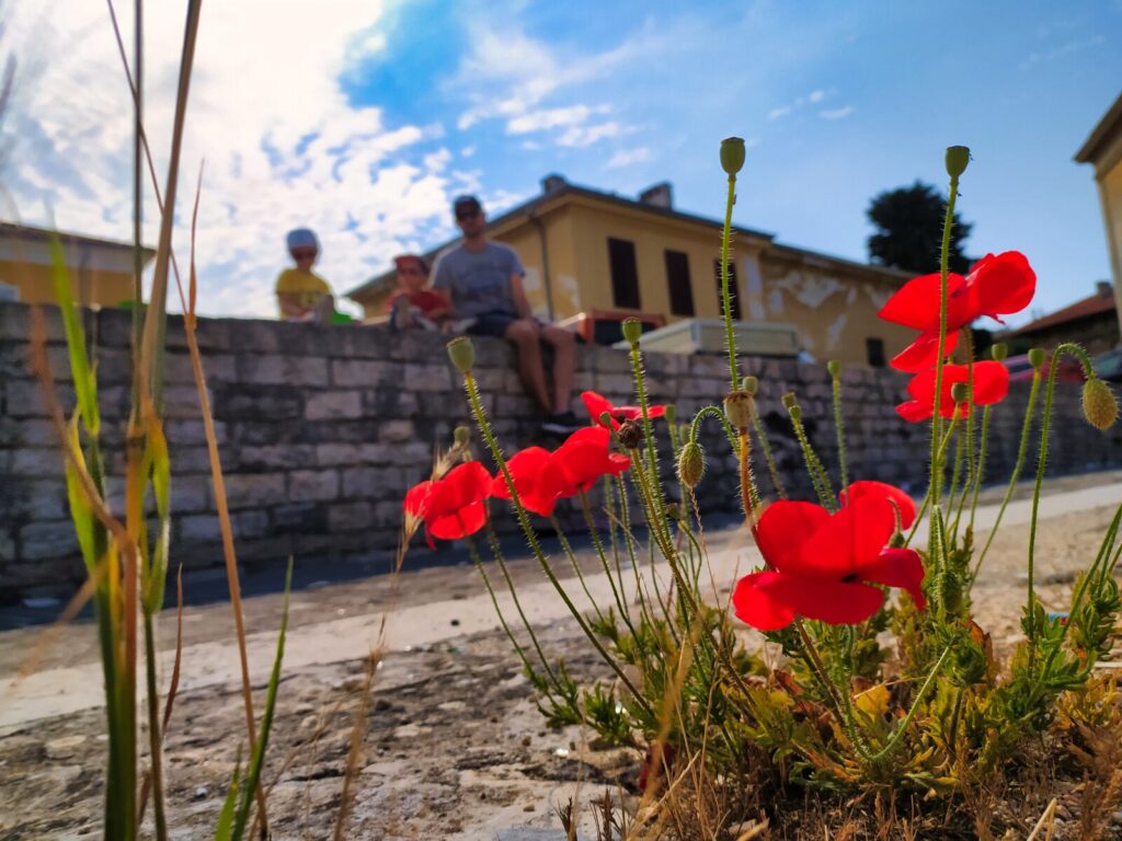 Croatia with kids (62)