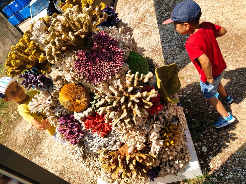 Croatia with kids (76)