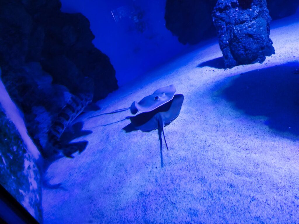 Croatia with kids (93)