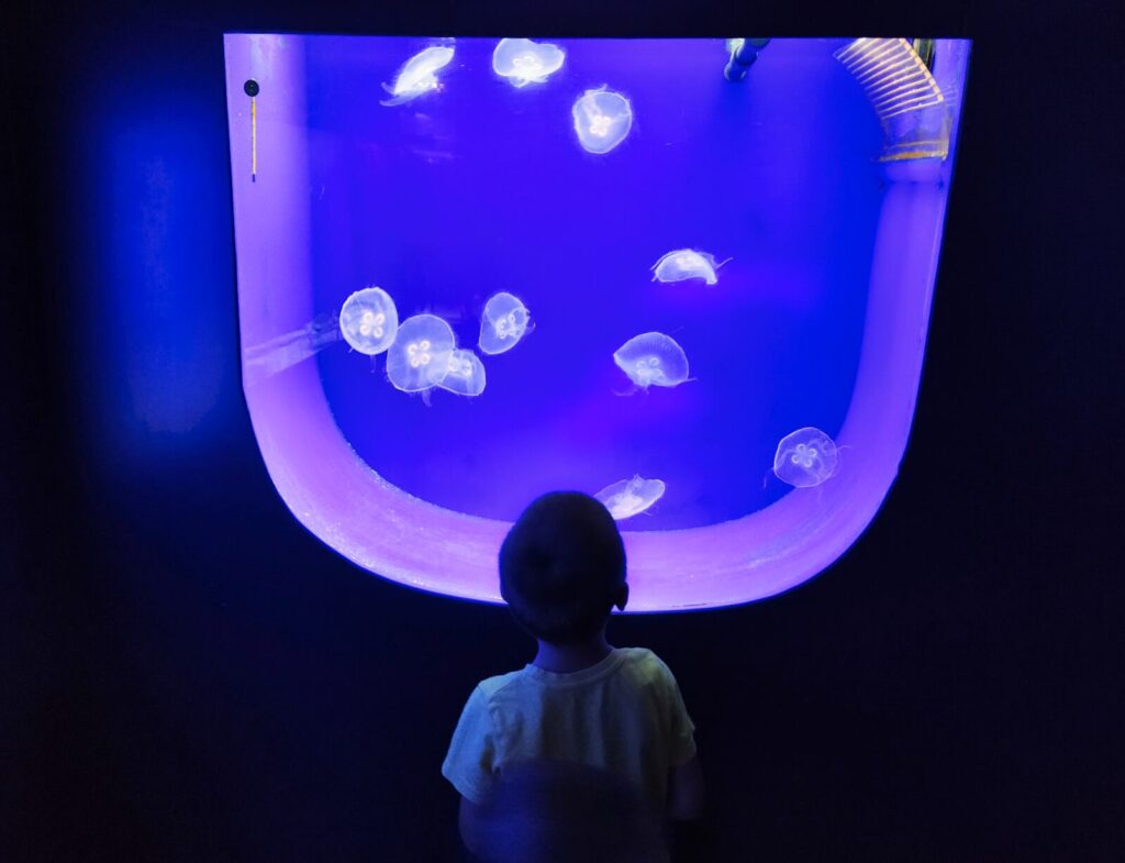 Croatia with kids (94)