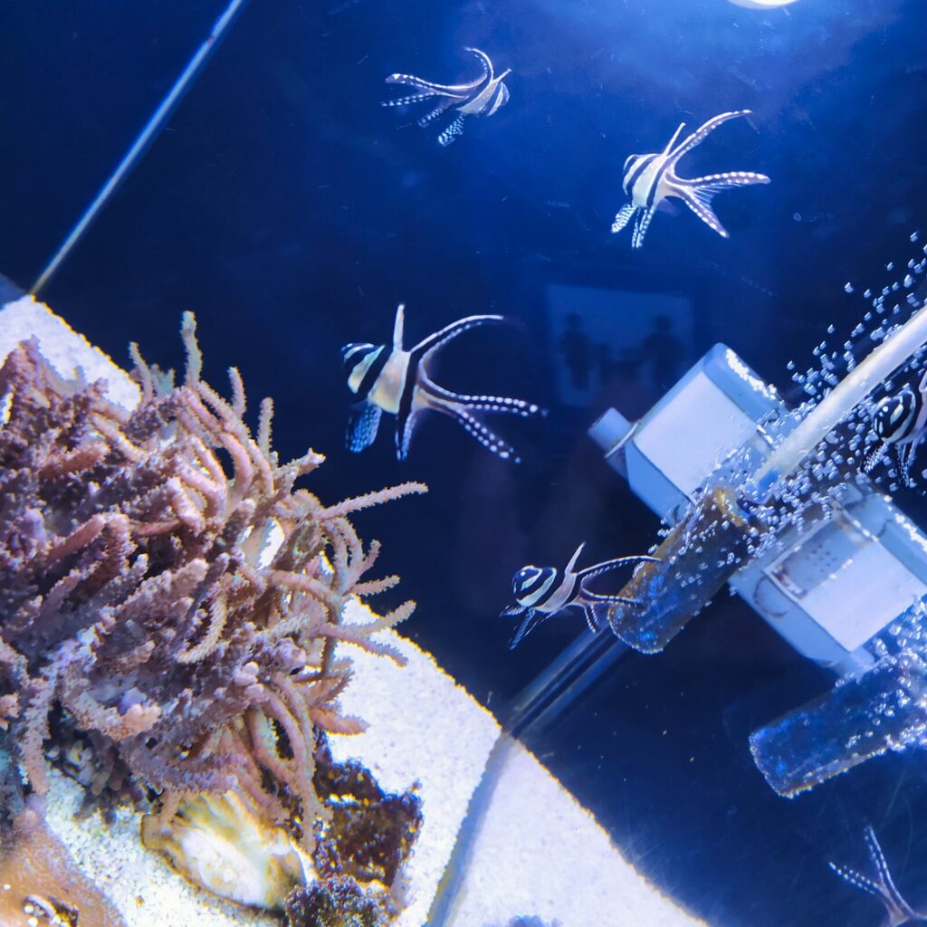 Croatia with kids (96)