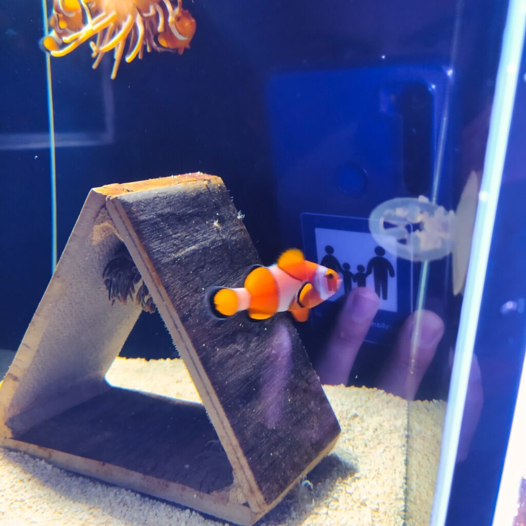 Croatia with kids (97)