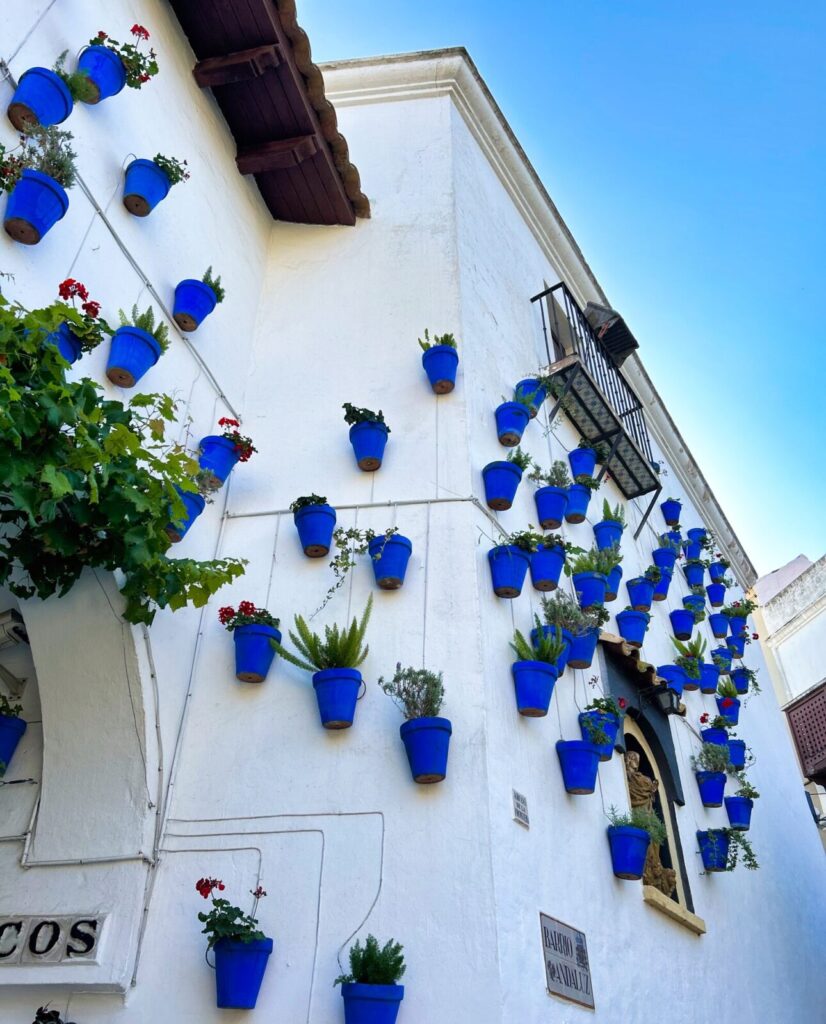 barcelona with kids (114)