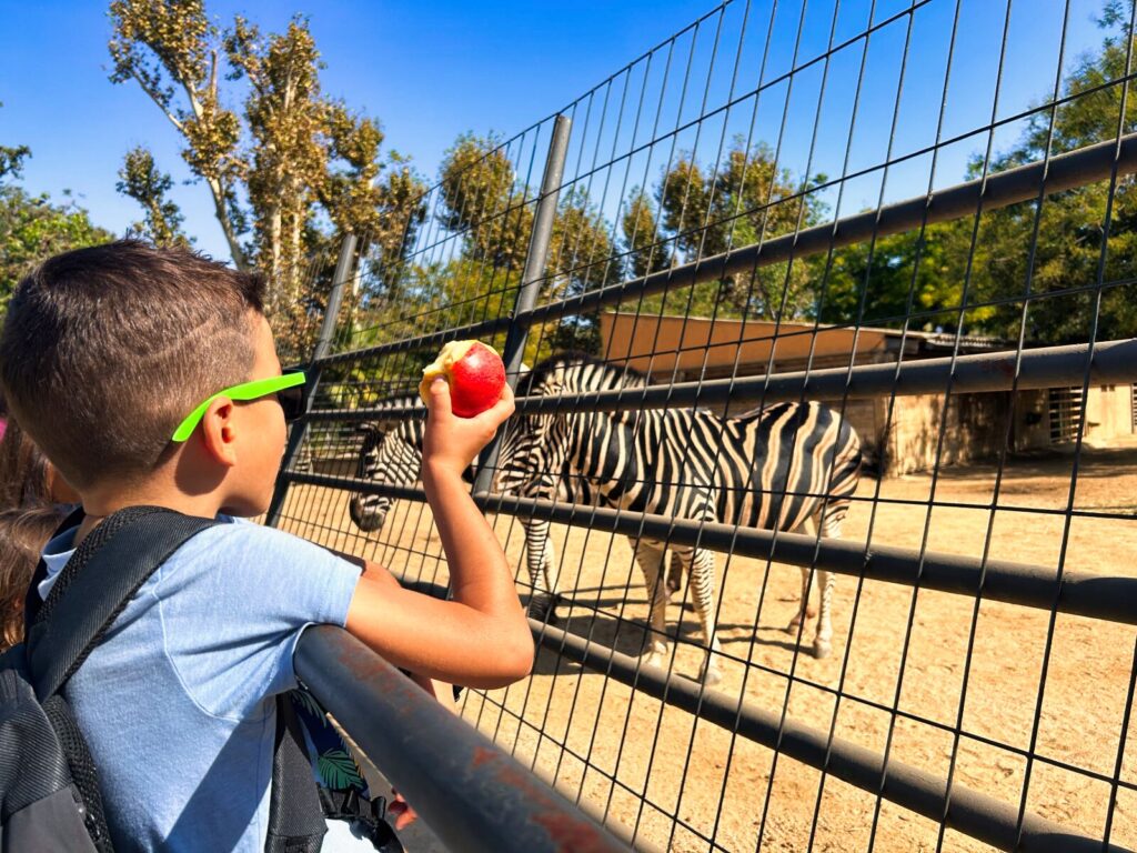 barcelona with kids (134)