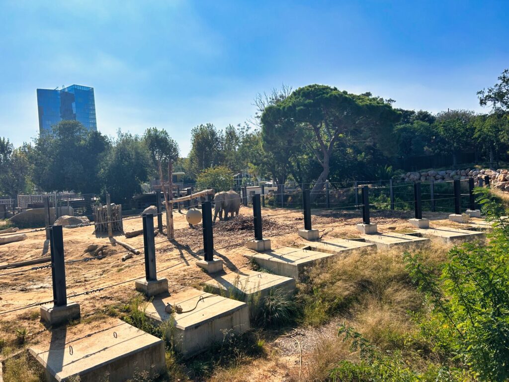 barcelona with kids (135)