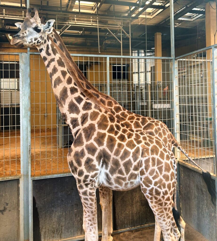 barcelona with kids (136)