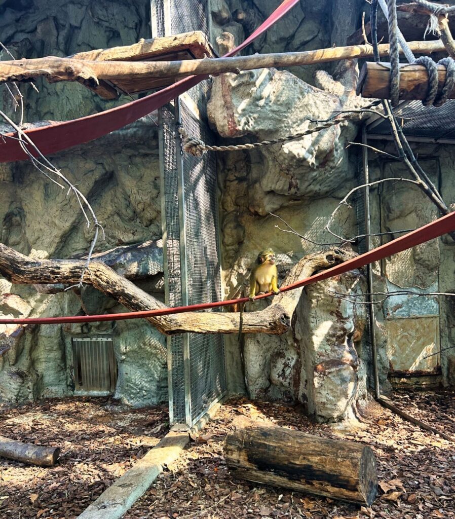 barcelona with kids (137)