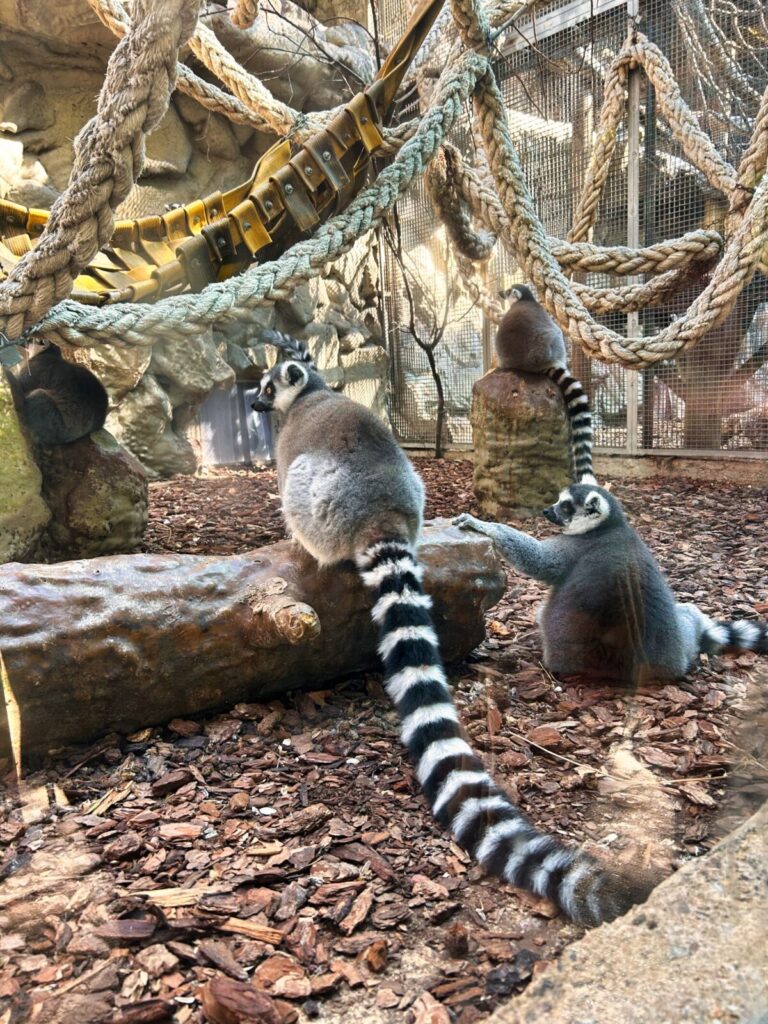 barcelona with kids (138)