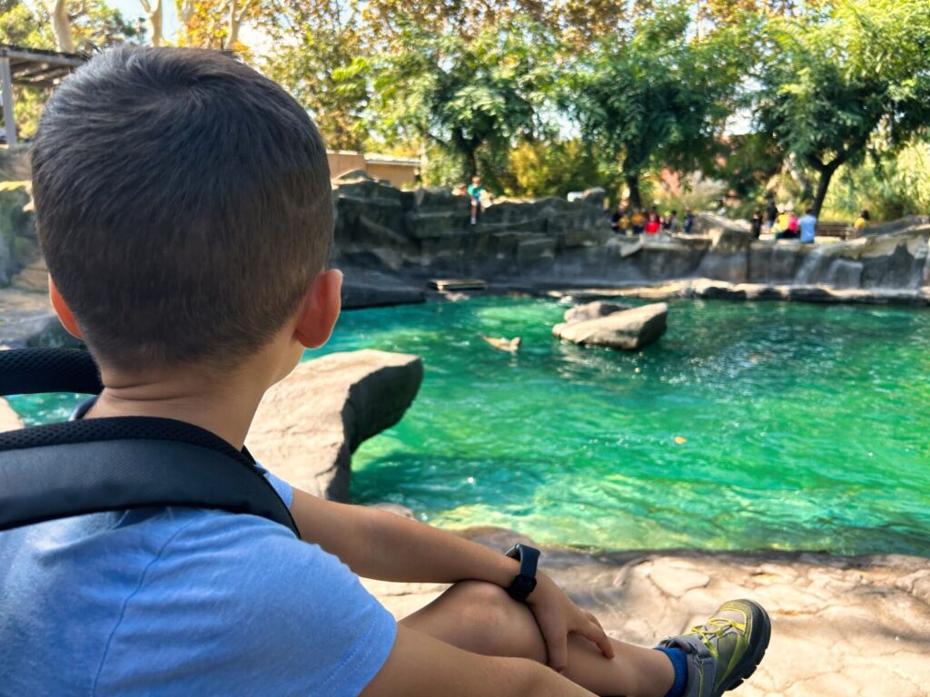 barcelona with kids (141)