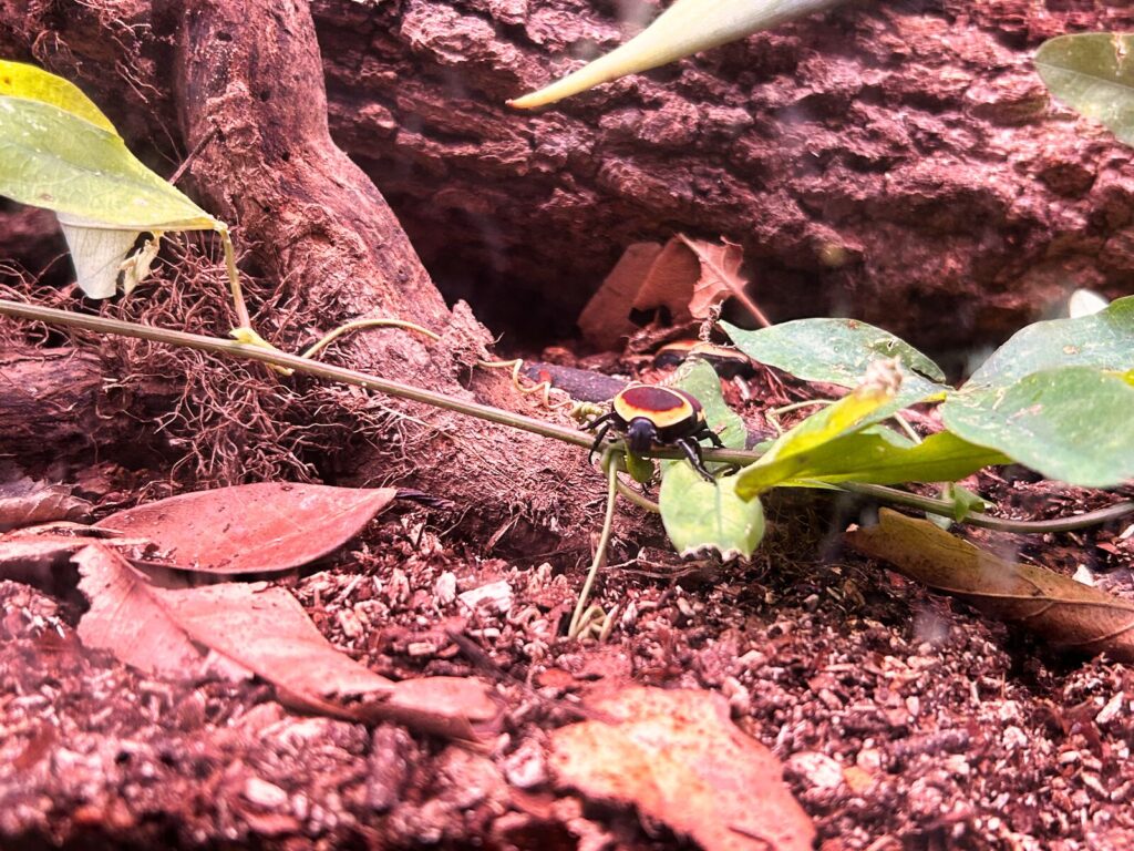 barcelona with kids (143)