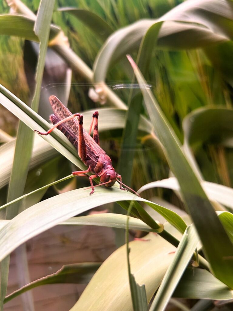 barcelona with kids (144)