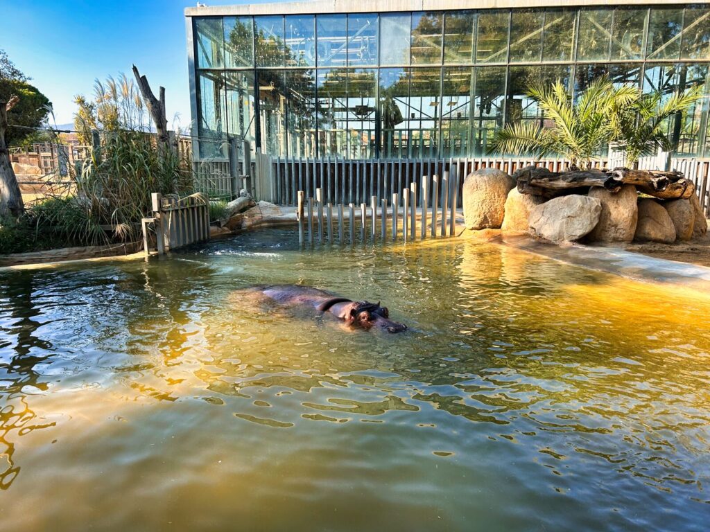 barcelona with kids (146)