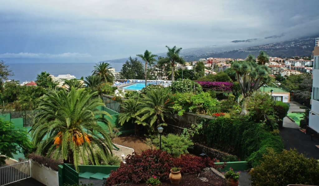 north or south Tenerife