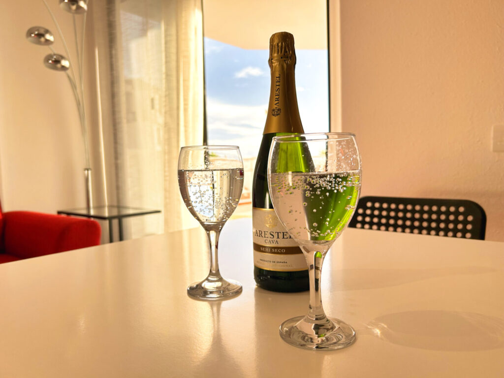 holiday rentals tenerife (25)