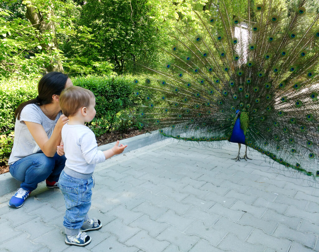 krakow with kids (28)