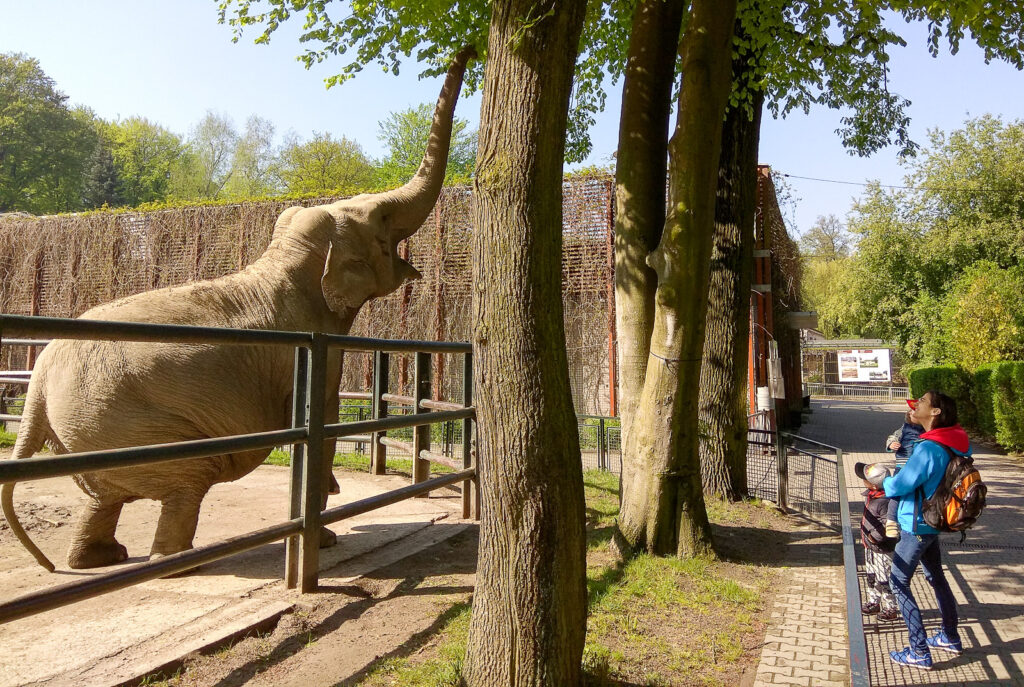krakow with kids (32)